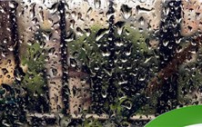 台风来了窗户为什么贴胶带 台风来了玻璃贴胶布有什么用