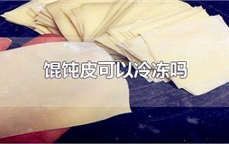 馄饨皮可以冷冻吗