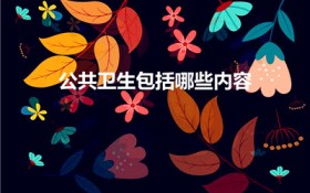 公共卫生包括哪些内容（公共卫生工作包括哪些具体方面）