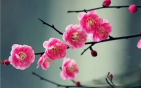 2024年躲春几点到几点结束图2