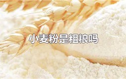 大麦粉是粗粮吗 小麦粉属于粗粮还是细粮