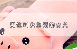 男生叫女生猪是什么意思（男生为什么要叫女生猪？）