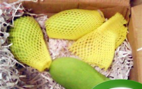 吃芒果时要注意什么？吃菠萝要注意什么？图3