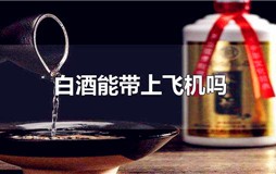 白酒能带上飞机吗