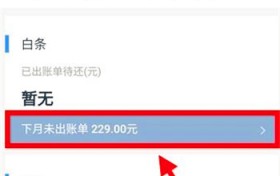 京东白条如何提前还款？京东白条买手机能提前一次性还款吗？图2