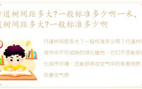 行道树间距多少-一般规范多少啊一米