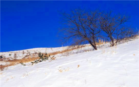 2024年数九天什么时候结束图2