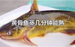 黄骨鱼蒸几分钟能熟