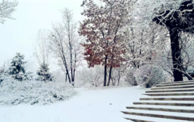 河南2月份会下雪吗图2