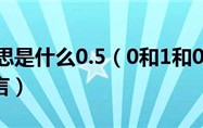 0.5代表什么意思（0.5的含义是啥？）