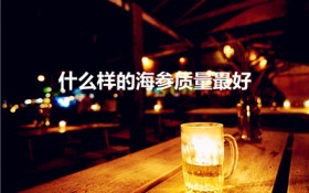 什么样的海参质量最好（怎么样的海参才是好的）