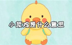 菜鸡什么意思（菜鸡的定义与解释）