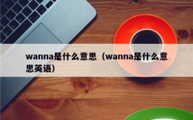 wanna代表什么意思（Wanna在不同领域中的运用共享）