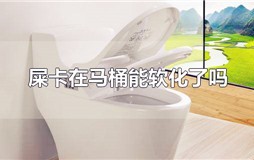 屎太硬堵住马桶能泡软吗