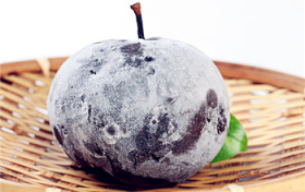 冰箱冻梨和东北冻梨一样吗图2