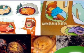 冬眠的动物有哪些？谁知道冬眠的动物有哪些？(10个就行)？