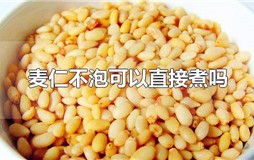 麦仁不泡可以直接煮吗