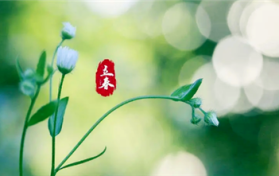 2024年立春后多长时间温暖图3