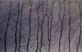 2024年广东3月份还会回南天吗图1