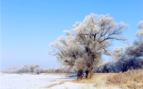 哈尔滨冬天能够戴贝雷帽吗图3