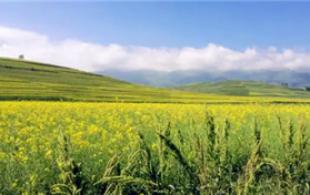 2024广东夏季什么时候逐渐图1