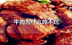牛肉为什么炖不烂