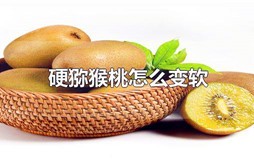 硬猕猴桃怎么变软