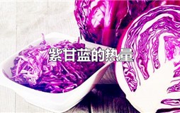 紫甘蓝的热量是多少大卡 紫甘蓝的热量是多少