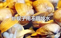 炒蚬子用不用焯水