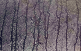 2024年武汉回南天墙壁上有水吗图3