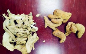 炮姜和干姜有什么区别（炮姜与干姜的区别解析）