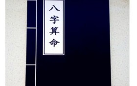 八字算命常用术语集锦？爱情术语有哪些？