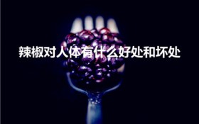 辣椒对人体有什么好处和坏处（吃辣椒的好处与坏处是哪些）