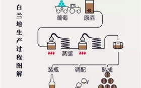 白兰地是什么酿造的？白兰地的神秘酿造工艺揭秘