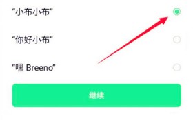 oppo手机怎么喊小布出来 oppo怎么叫小布出来图3