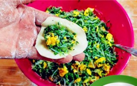 面条菜能够包饺子吗(用面条菜包饺子是否有效)