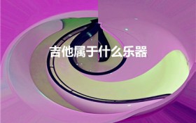 吉他属于什么乐器（吉他是西方乐器吗）