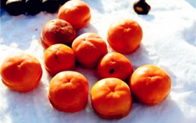 冻柿子可以跟酸奶一起吃吗图2