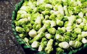 榨菜的原料菜叫什么（榨菜制作所用原料是什么？）