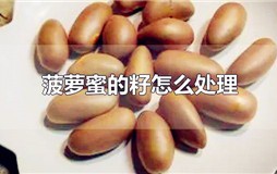 吃完菠萝蜜的籽怎么处理 菠萝蜜的籽怎么弄