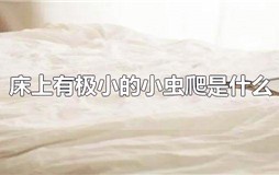 床上有极小的小虫爬是什么