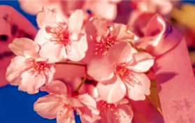 2024年武汉3月份温度大概是多少图3