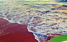 海水为什么是蓝色的 海水的颜色为什么是蓝色的