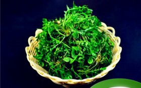 荠菜哪些季节有（荠菜生长季节）