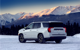 下雪天车子停在室外被树砸了谁的责任图1