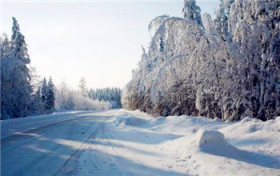 2024年数九天什么时候结束图3