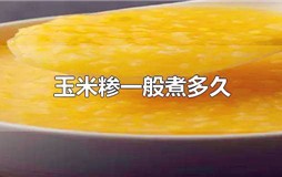 玉米糁一般煮多久