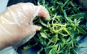 面条菜饺子馅做法大全（面条菜饺子馅制作方法详解）