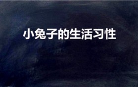 小兔子的生活习性（兔子生活习性）
