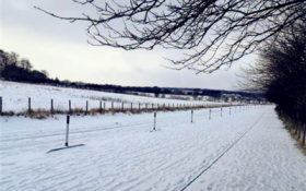 河南2月份会下雪吗图1